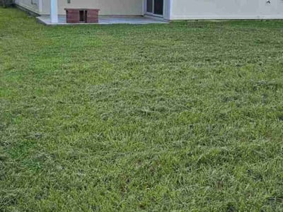 Lawn Care service in Yulee, 32997
