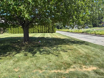Lawn Care service in East Hampton, 06424