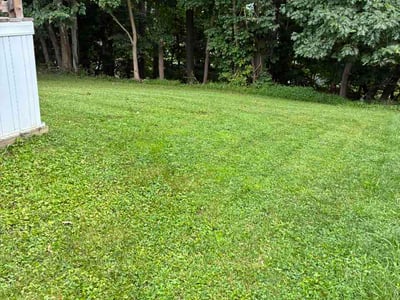 Lawn Care service in West Newton, 15089