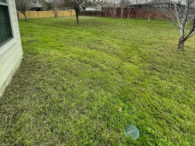 Lawn Care service in Novato, 94945