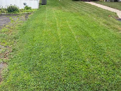 Lawn Care service in Tolland, 06084