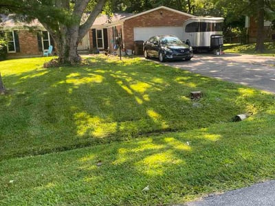 Lawn Care service in Cape May, 08204