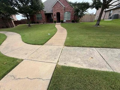 Lawn Care service in Sachse, 75048