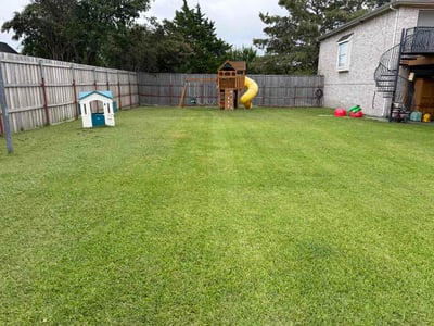 Lawn Care service in Sachse, 75048