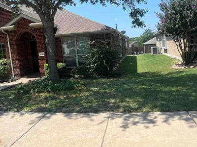 Lawn Care service in Sunnyvale, 75182