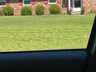 Lawn Care service in San Ramon, 94583