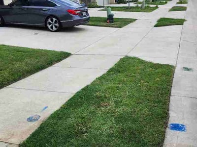 Lawn Care service in Heartland, 75126