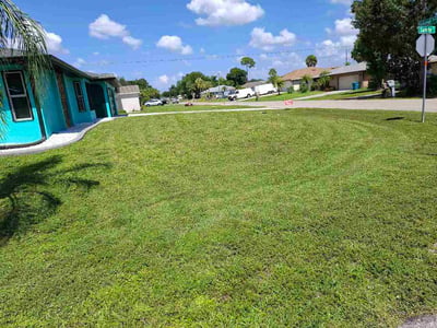 Lawn Care service in Punta Gorda, 33950