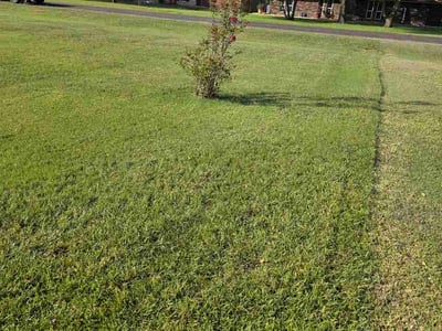 Lawn Care service in Red Oak, 75154