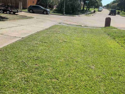 Lawn Care service in Rowlett, 75088