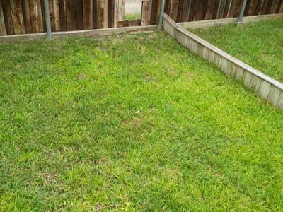 Lawn Care service in Coppell, 75019