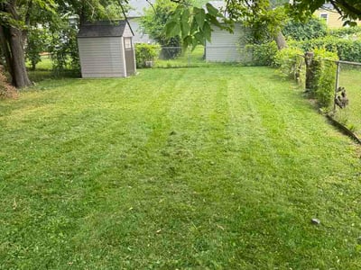 Lawn Care service in Garden City, 48135