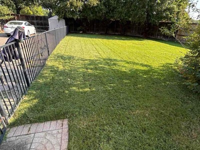 Lawn Care service in Coppell, 75019