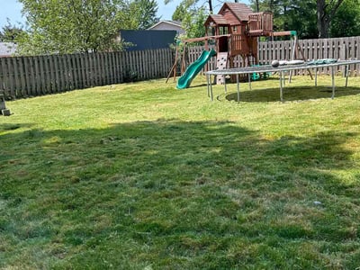 Lawn Care service in Grand Haven, 49417
