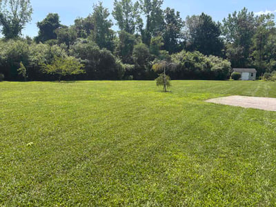 Lawn Care service in Farmington, 06032