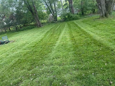 Lawn Care service in New London, 06320