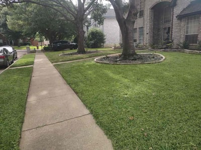 Lawn Care service in Plano, 75074