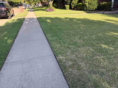 Lawn Care service in Plano, 75074
