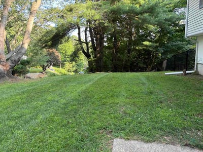 Lawn Care service in Norwich, 06360