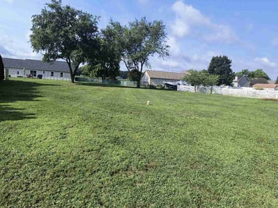 Lawn Care service in Millsboro, 19966