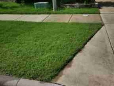 Lawn Care service in Little Elm, 75068
