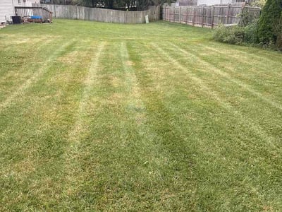 Lawn Care service in Cedar Lake, 46303