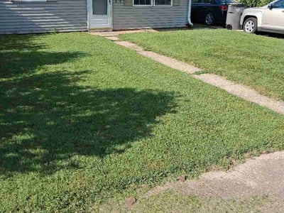 Lawn Care service in Benton Harbor, 49022