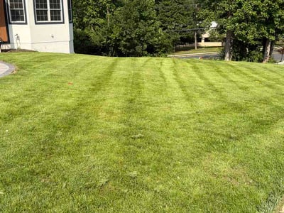 Lawn Care service in Linden, 07036