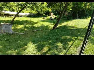 Lawn Care service in Hollis, 11423