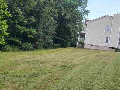 Lawn Care service in Hollis, 11423