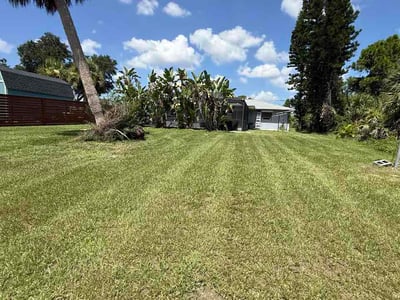 Lawn Care service in Port Charlotte, 33952