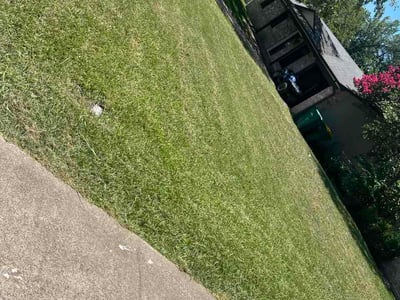 Lawn Care service in Cedar Hill, 75104