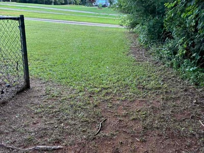 Lawn Care service in Howard Beach, 11414