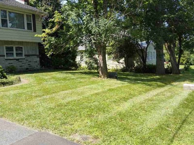 Lawn Care service in Jamaica, 11432