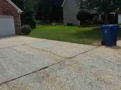 Lawn Care service in Jamaica, 11432