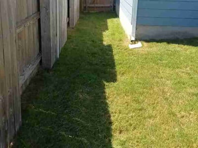 Lawn Care service in Taylor, 76574