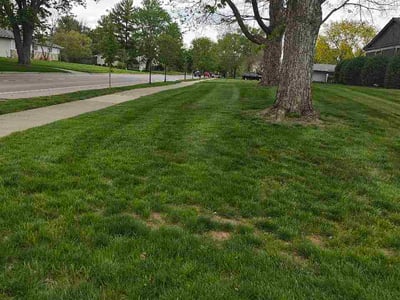 Lawn Care service in Ocean City, 08226