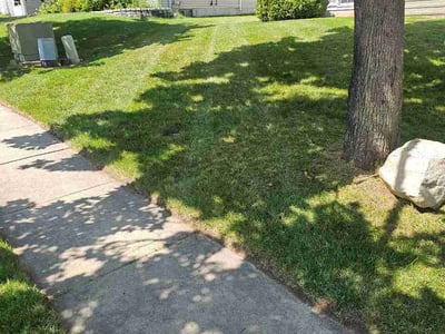 Lawn Care service in Groton, 06340
