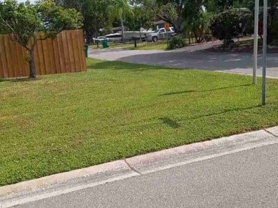 Lawn Care service in East Elmhurst, 11369
