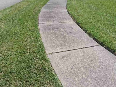 Lawn Care service in Corpus Christi, 78401