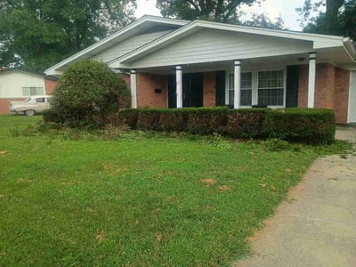 Lawn Care service in Ellington, 06029