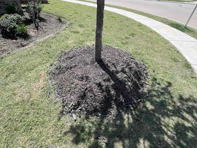 Lawn Care service in Ellington, 06029