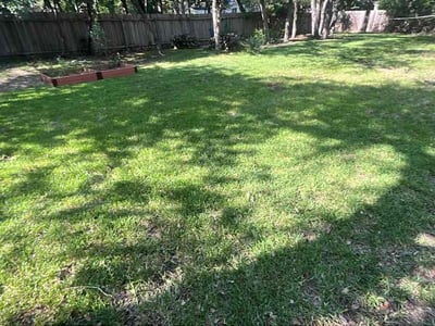 Lawn Care service in Cedar Creek, 78612