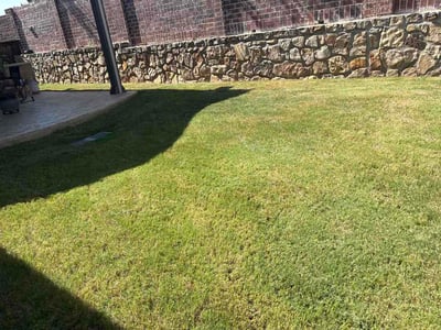 Lawn Care service in Desoto, 75115