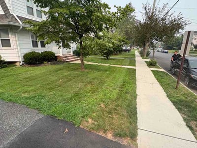 Lawn Care service in Orange, 07050
