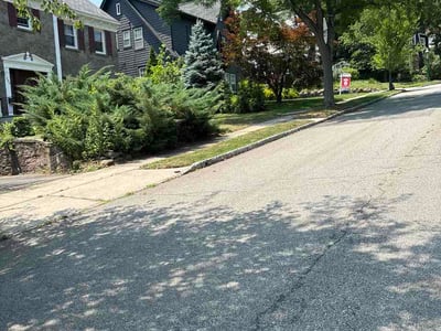 Lawn Care service in Orange, 07050