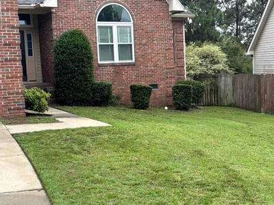 Lawn Care service in Orange, 07050