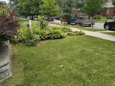 Lawn Care service in Demotte, 46310