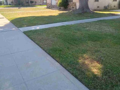 Lawn Care service in Selma, 93662