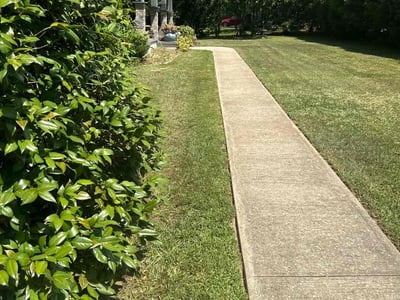 Lawn Care service in Easley, 29640
